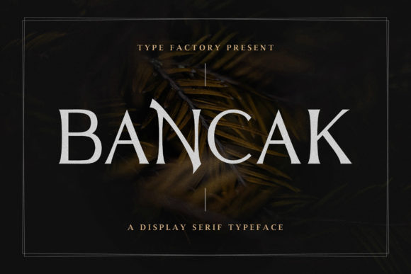 Bancak: A Serif Font for Creative Projects