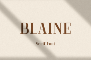 Blaine: A Simple Serif Font for Business