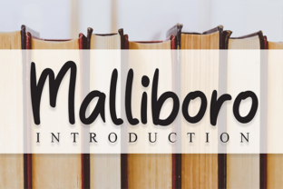 Malliboro: A Serif Font for Creative Web Design